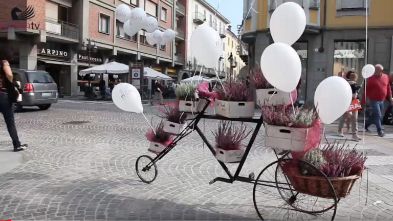 Sede Pegaso Bra: l’anniversario